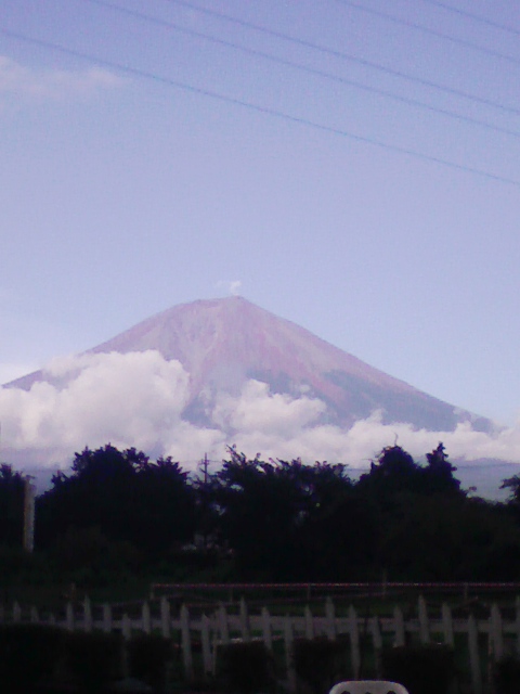 ���V���F�̐��E