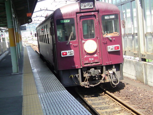 ���V���F�̐��E