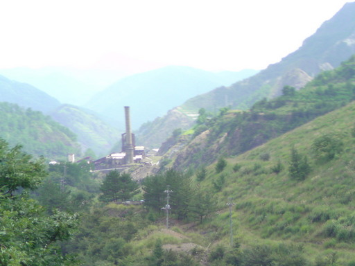 ���V���F�̐��E