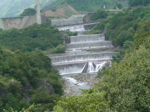 ���V���F�̐��E