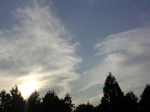 ���V���F�̐��E