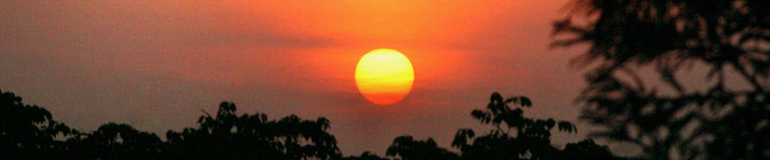 ���V���F�̐��E