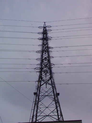 ���V���F�̐��E