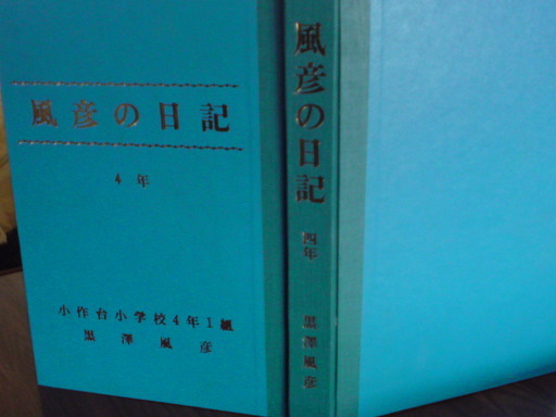 ���V���F�̐��E