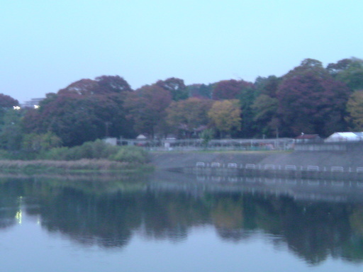 ���V���F�̐��E