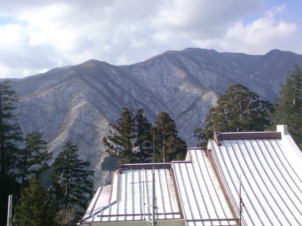 ���V���F�̐��E