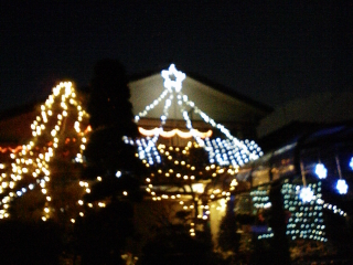 ���V���F�̐��E