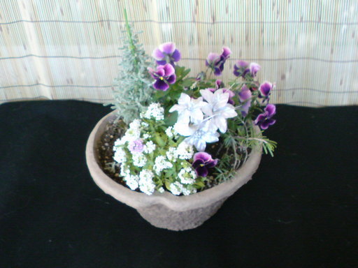 ���V���F�̐��E