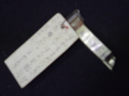 ���V���F�̐��E