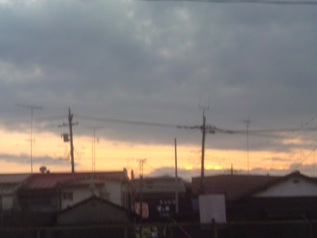 ���V���F�̐��E