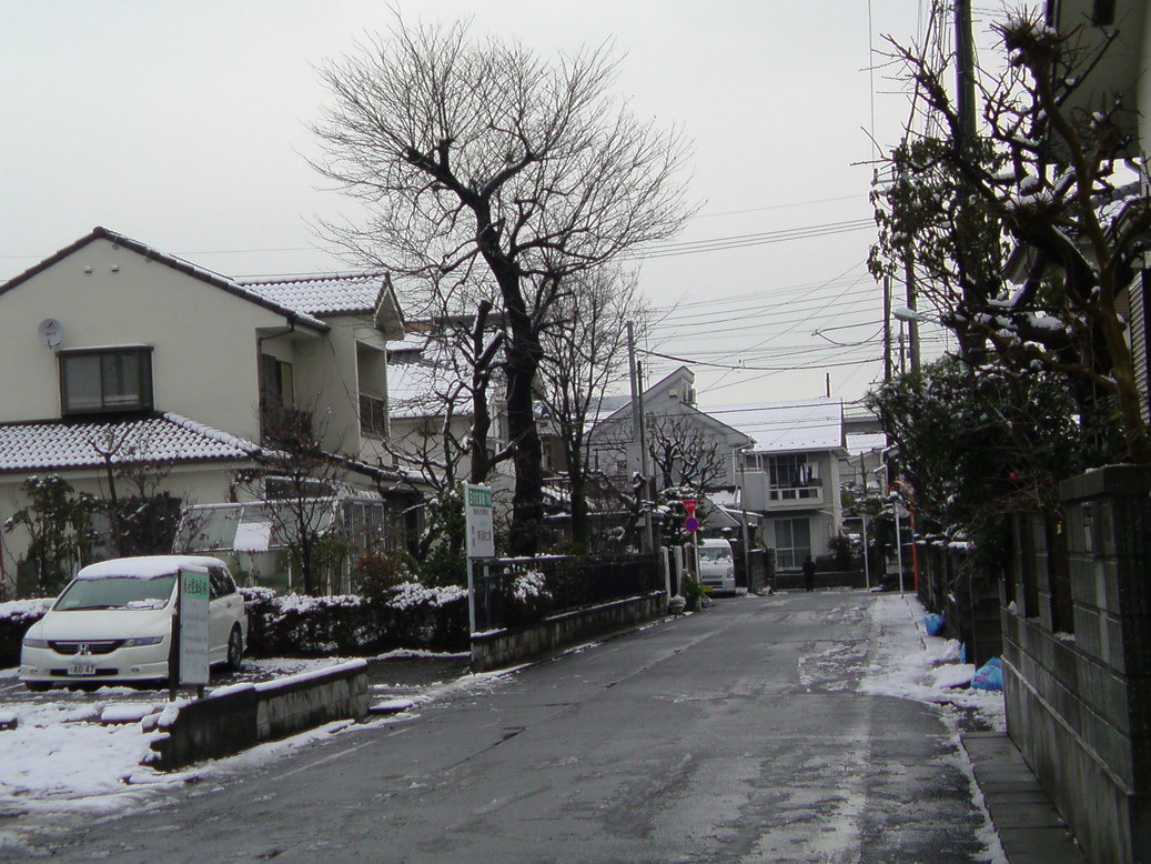 ���V���F�̐��E