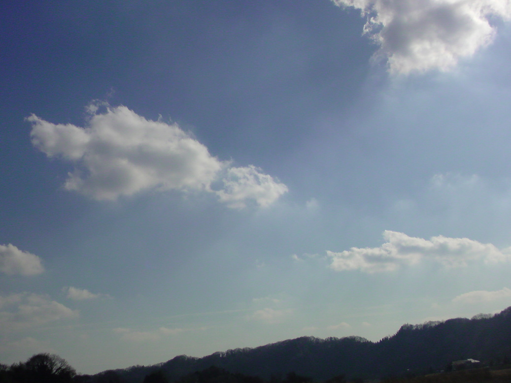 ���V���F�̐��E