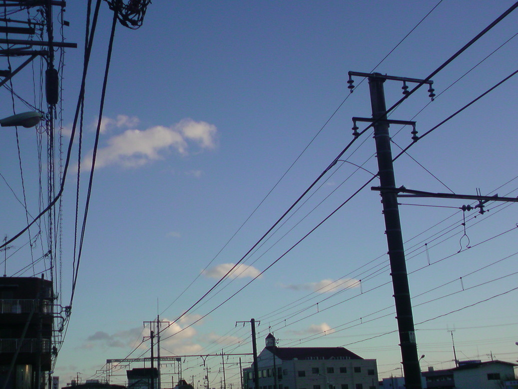 ���V���F�̐��E