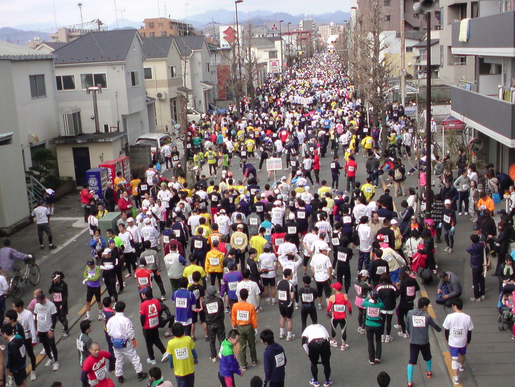 ���V���F�̐��E