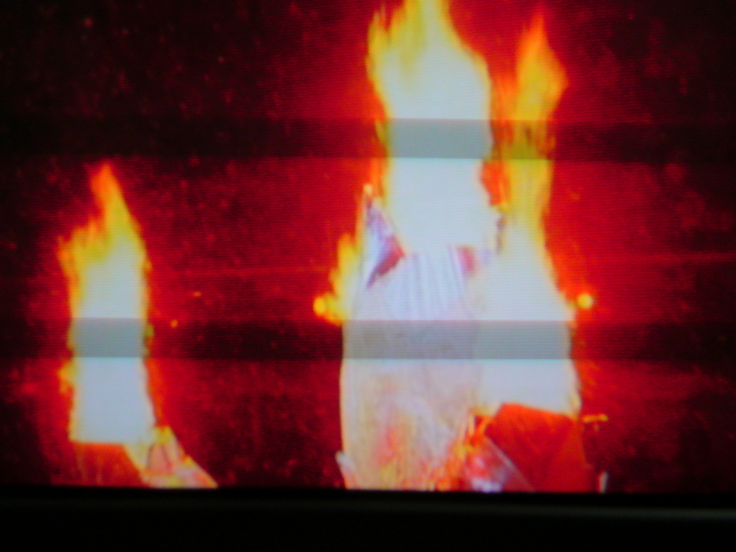 ���V���F�̐��E