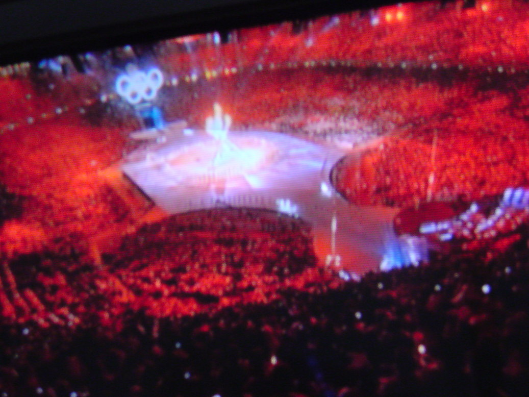 ���V���F�̐��E