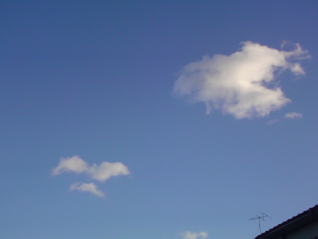 ���V���F�̐��E