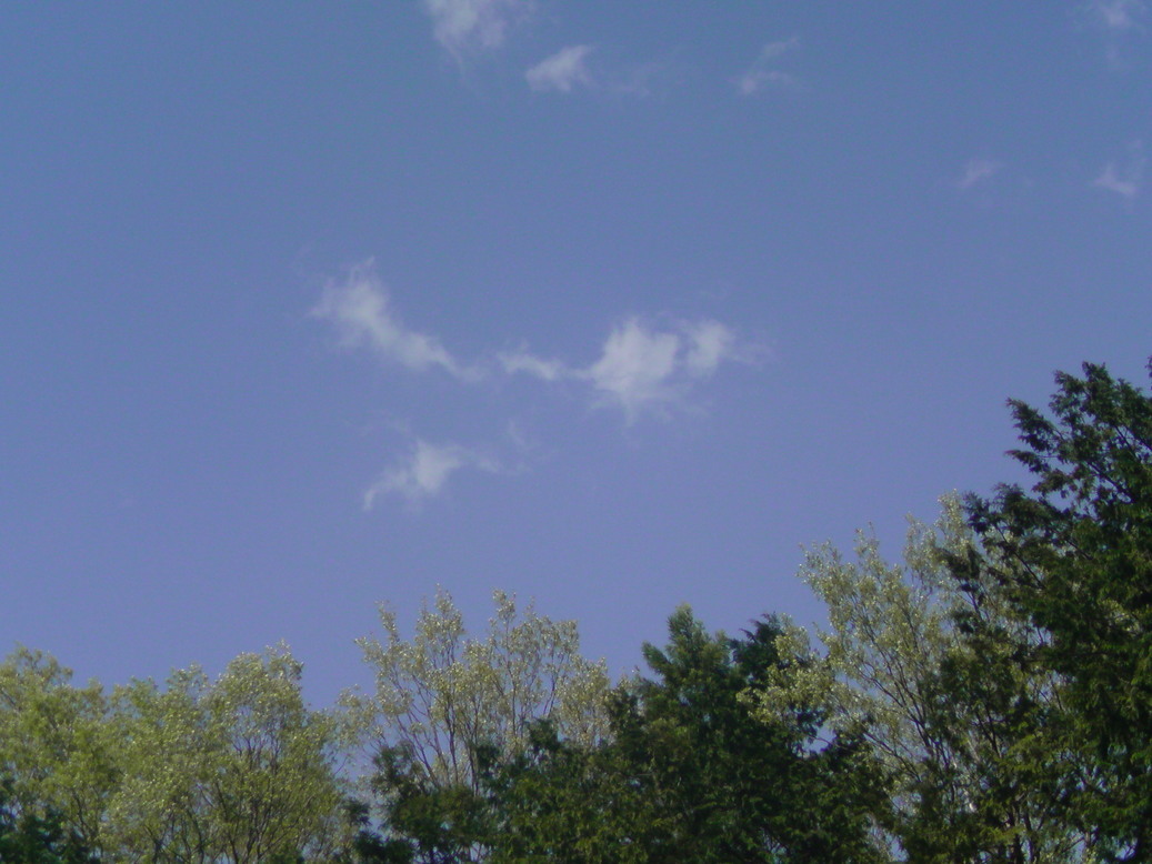 ���V���F�̐��E