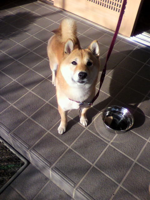 ���т����̂܂�������L�B