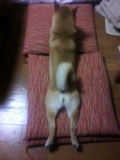 ���т����̂܂�������L�B