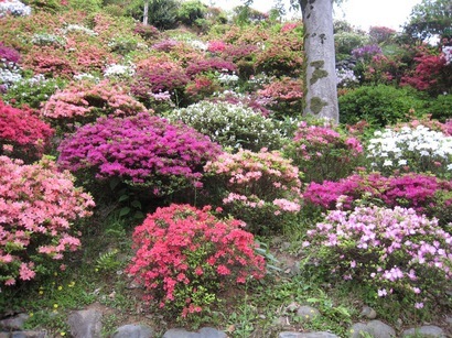 ���т����̂܂�������L�B