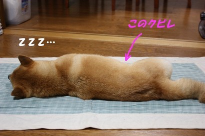 т̂܂LB