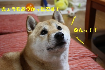 ���т����̂܂�������L�B