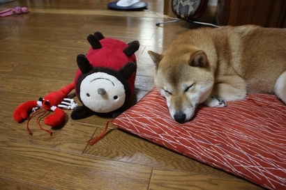 ���т����̂܂�������L�B