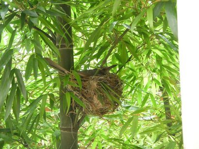 ���т����̂܂�������L�B