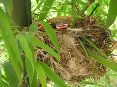 ���т����̂܂�������L�B