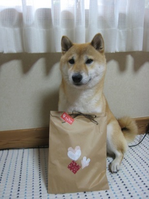 ���т����̂܂�������L�B