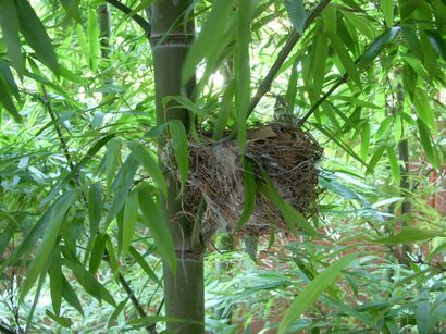 ���т����̂܂�������L�B