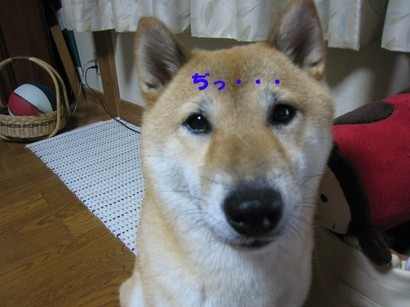 ���т����̂܂�������L�B