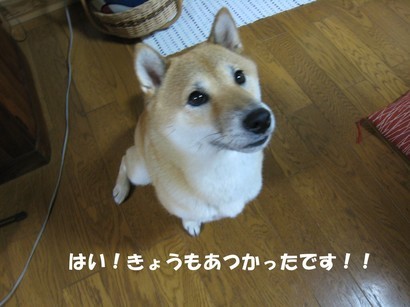 ���т����̂܂�������L�B