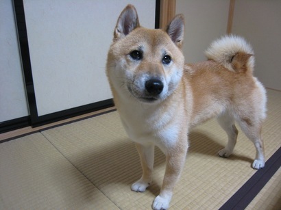 ���т����̂܂�������L�B