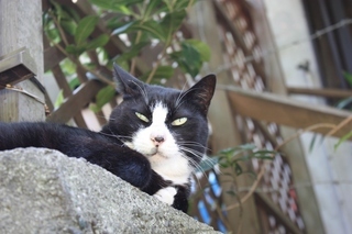 ���т����̂܂�������L�B