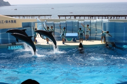 ���т����̂܂�������L�B