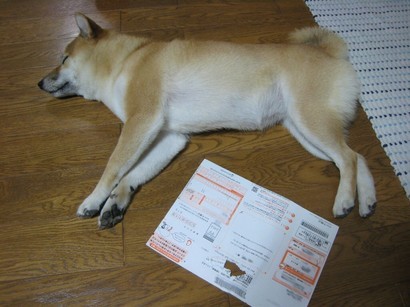 ���т����̂܂�������L�B