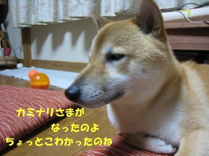 ���т����̂܂�������L�B