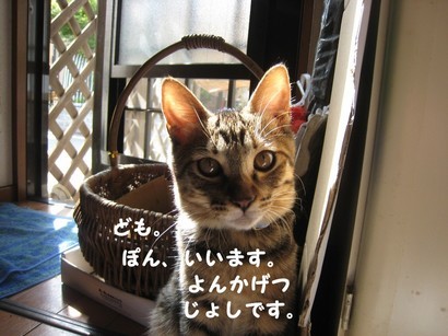 ���т����̂܂�������L�B