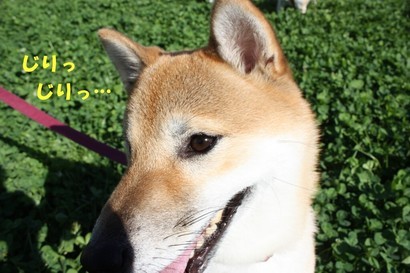 ���т����̂܂�������L�B