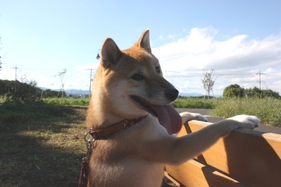 ���т����̂܂�������L�B