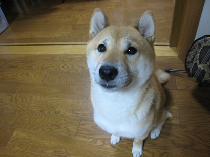 ���т����̂܂�������L�B