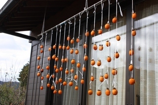 ���т����̂܂�������L�B