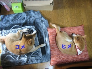 ���т����̂܂�������L�B