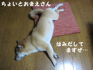 ���т����̂܂�������L�B