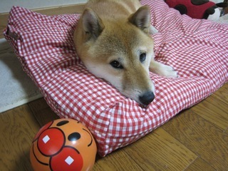 ���т����̂܂�������L�B