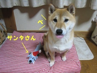 ���т����̂܂�������L�B