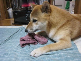 ���т����̂܂�������L�B