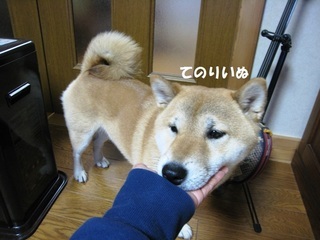 ���т����̂܂�������L�B